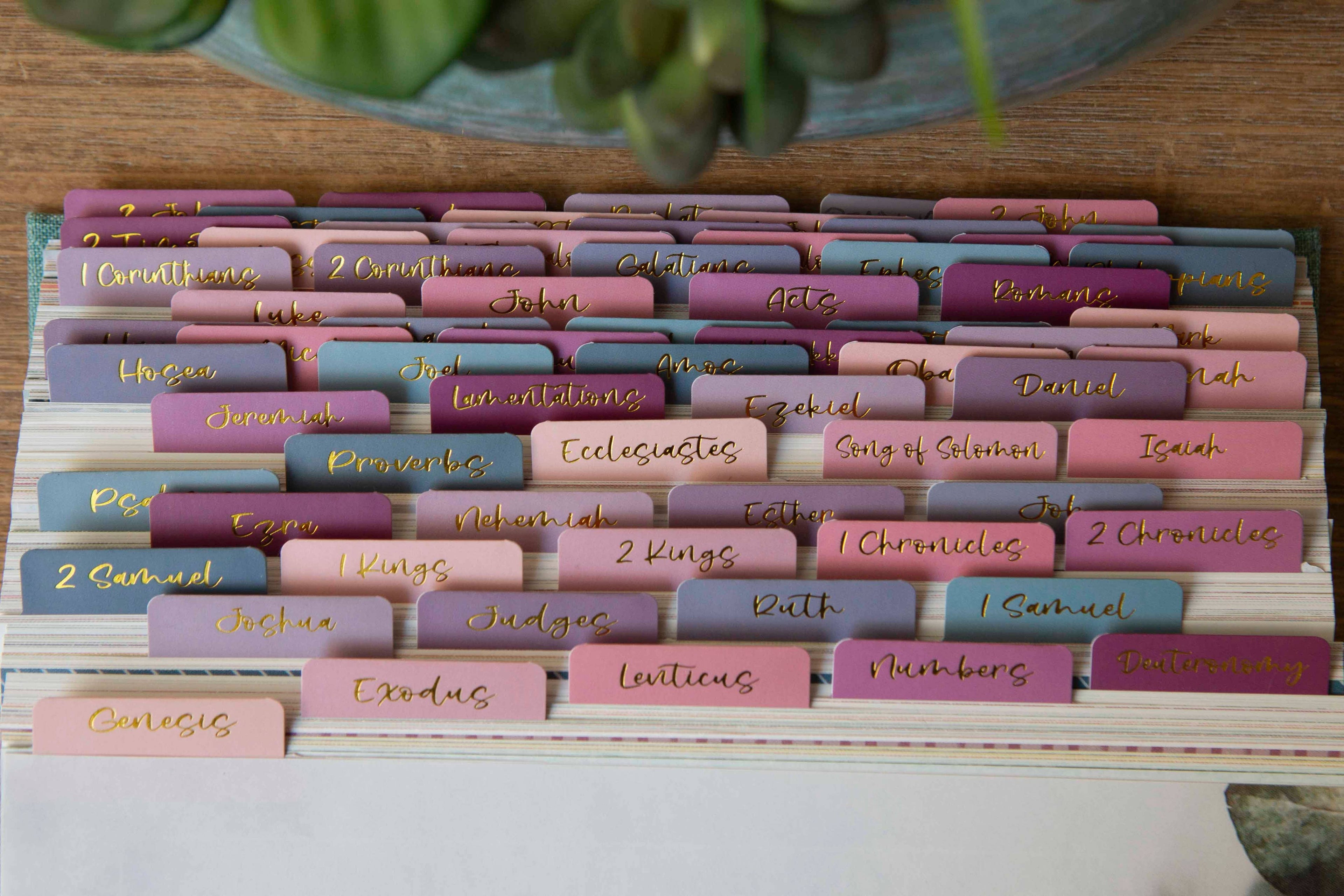 Ombre Bible Index Tabs