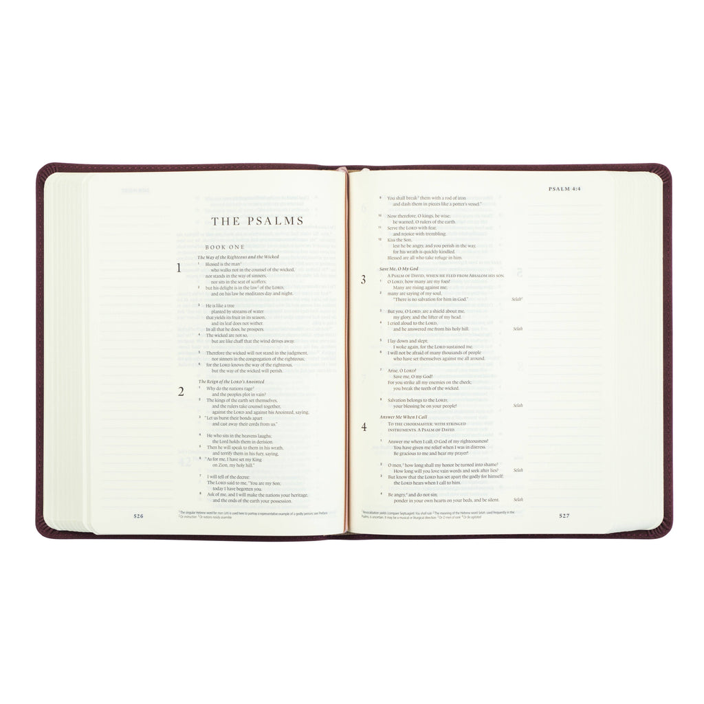 ESV Journaling Bible | Helena Theme