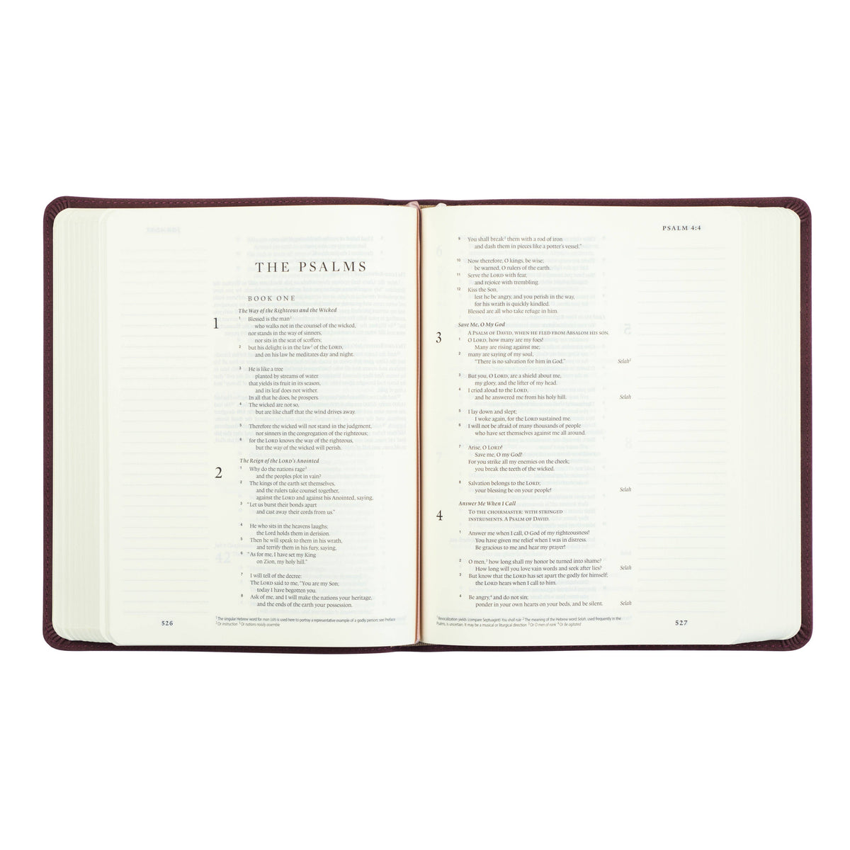 ESV Journaling Bible | Helena Theme