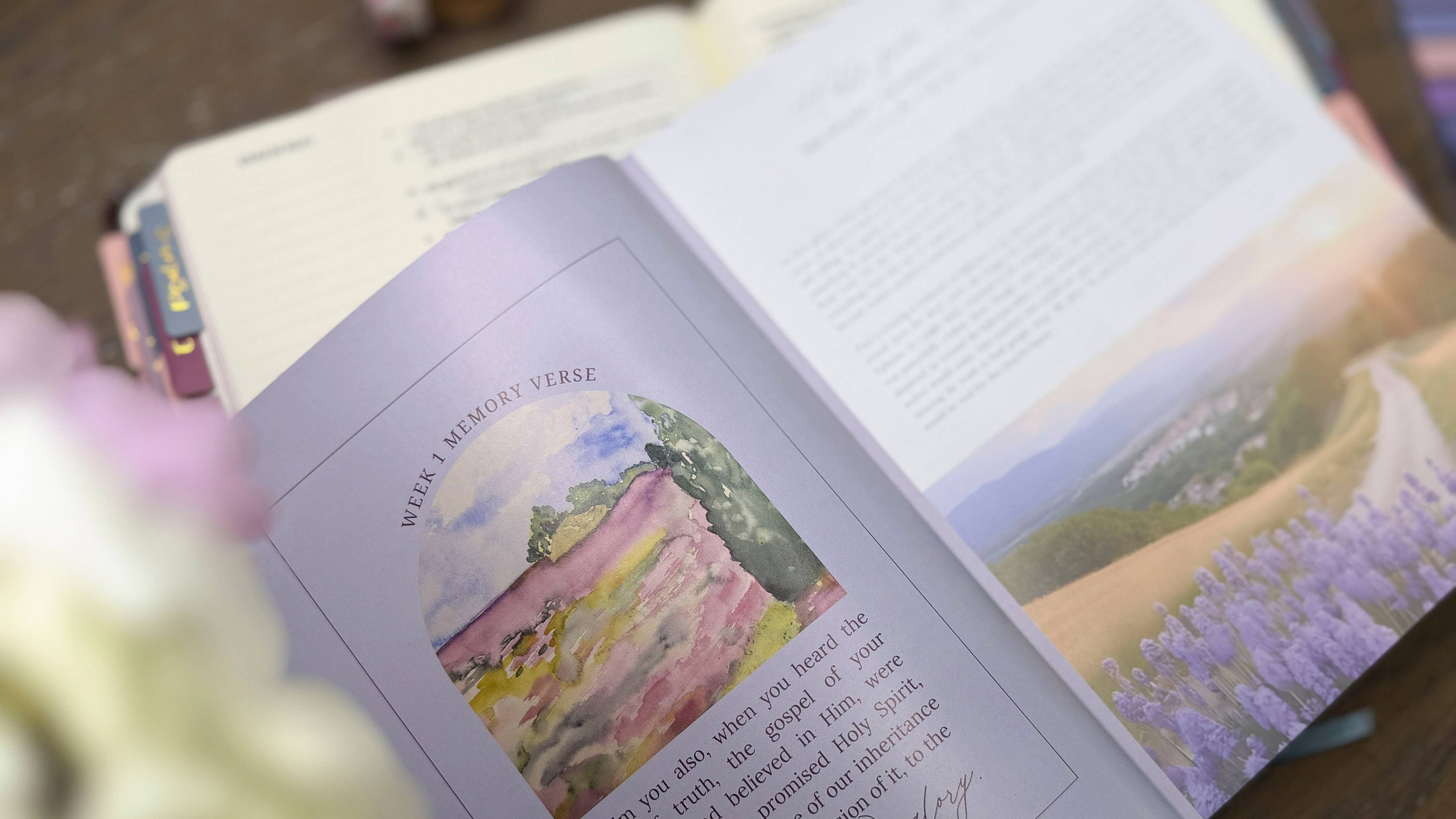 Immeasurable — A 5 Week Ephesians Bible Study