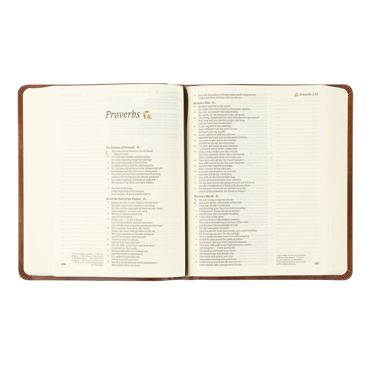 CSB Notetaking Bible | Edinburgh Theme