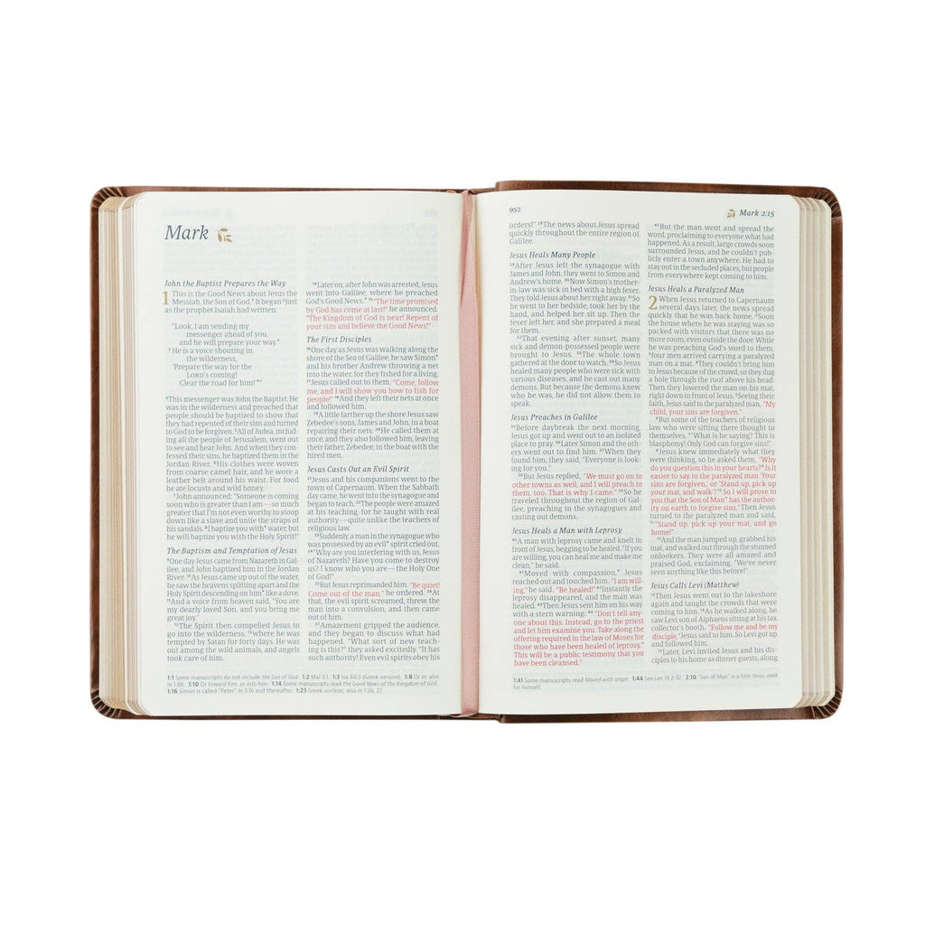 NLT Compact Bible | Aurora Theme