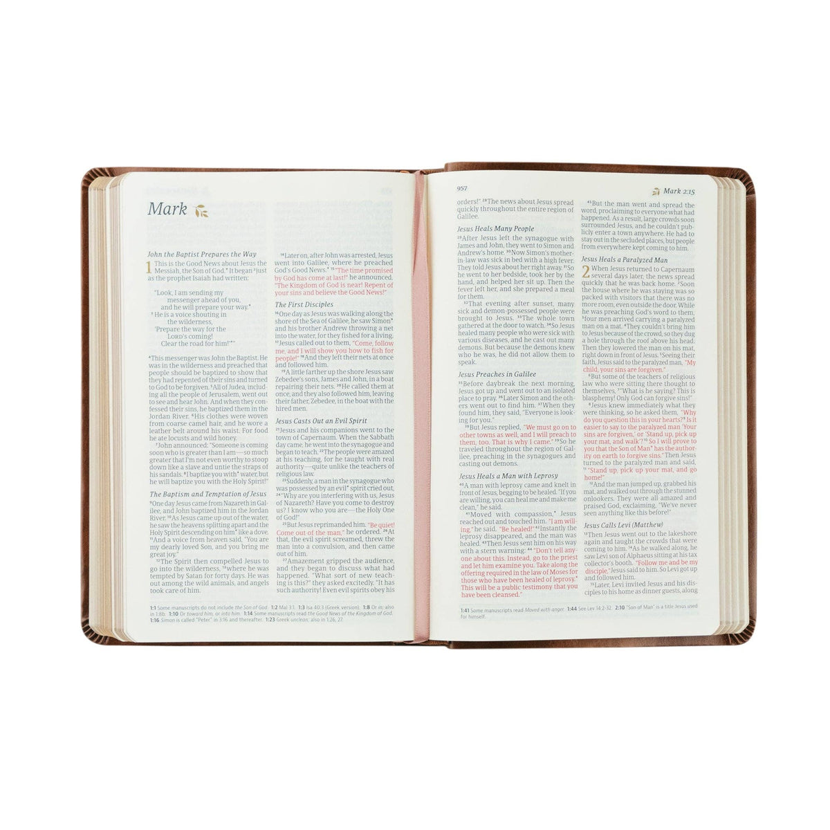 NLT Compact Bible | Aurora Theme