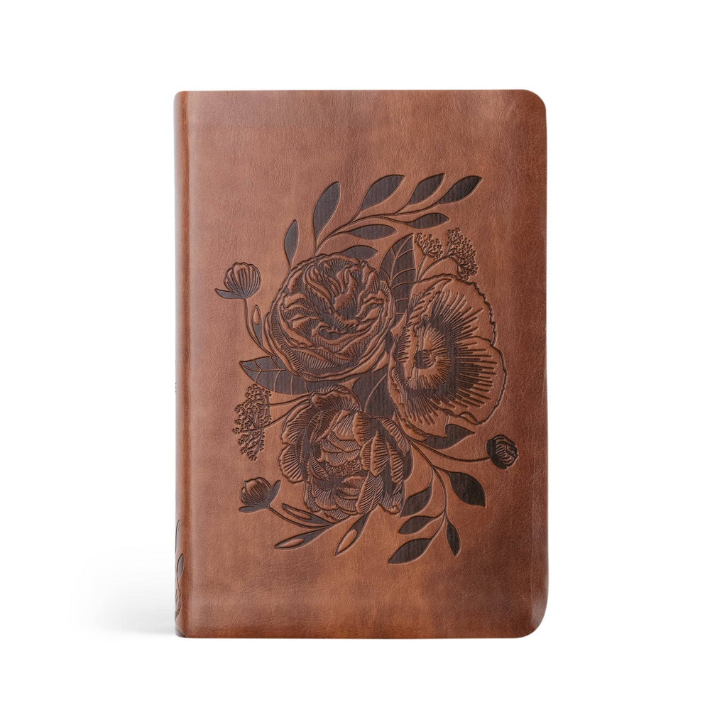 NLT Compact Bible | Aurora Theme