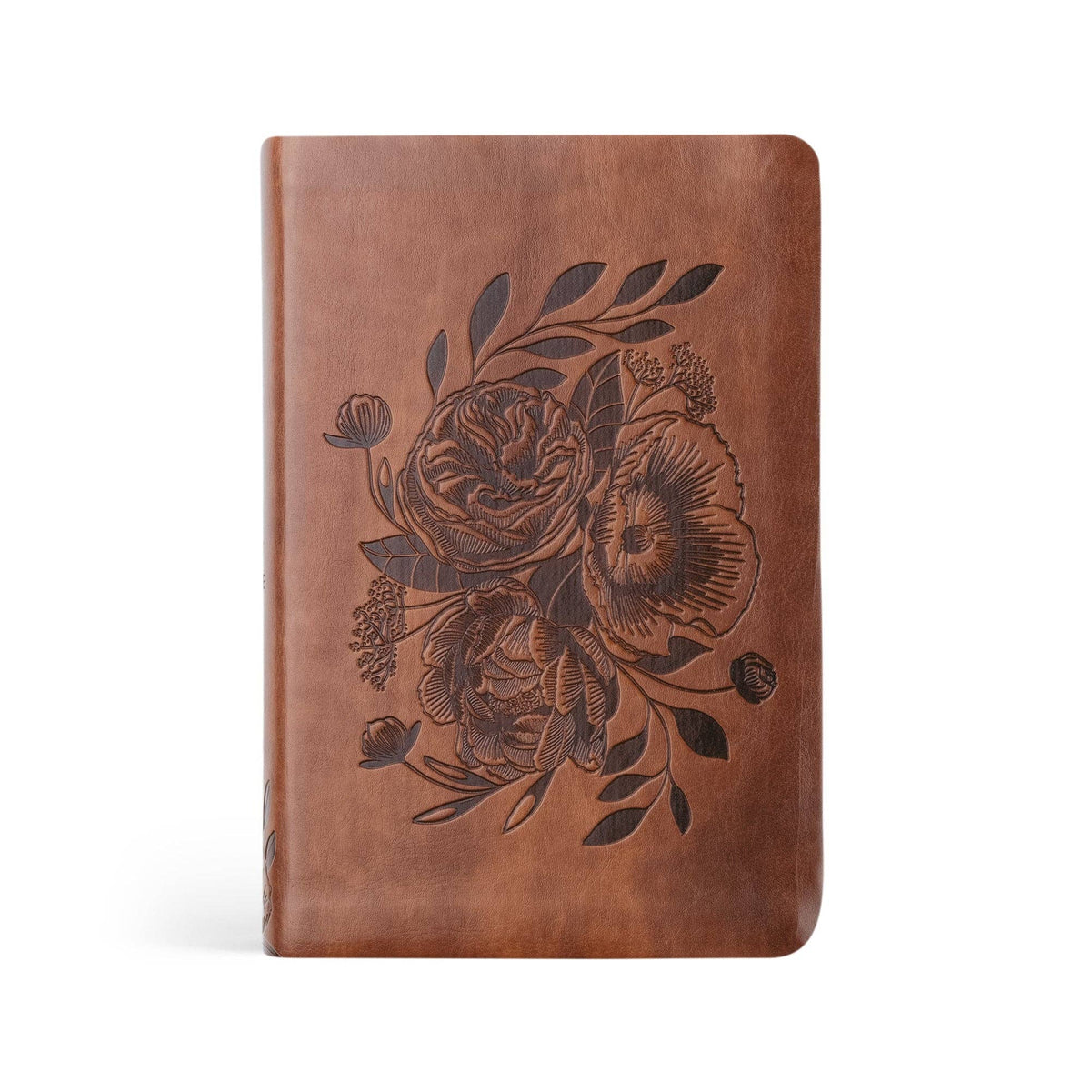 NLT Compact Bible | Aurora Theme