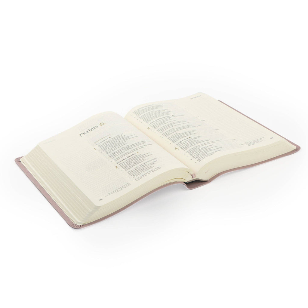 CSB Notetaking Bible | Mauves Theme