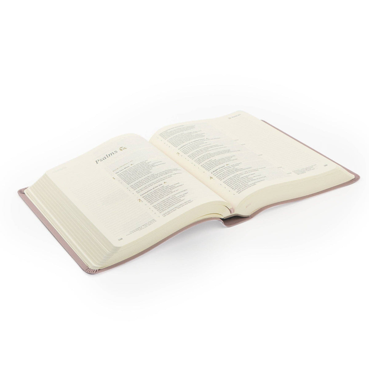 CSB Notetaking Bible | Mauves Theme