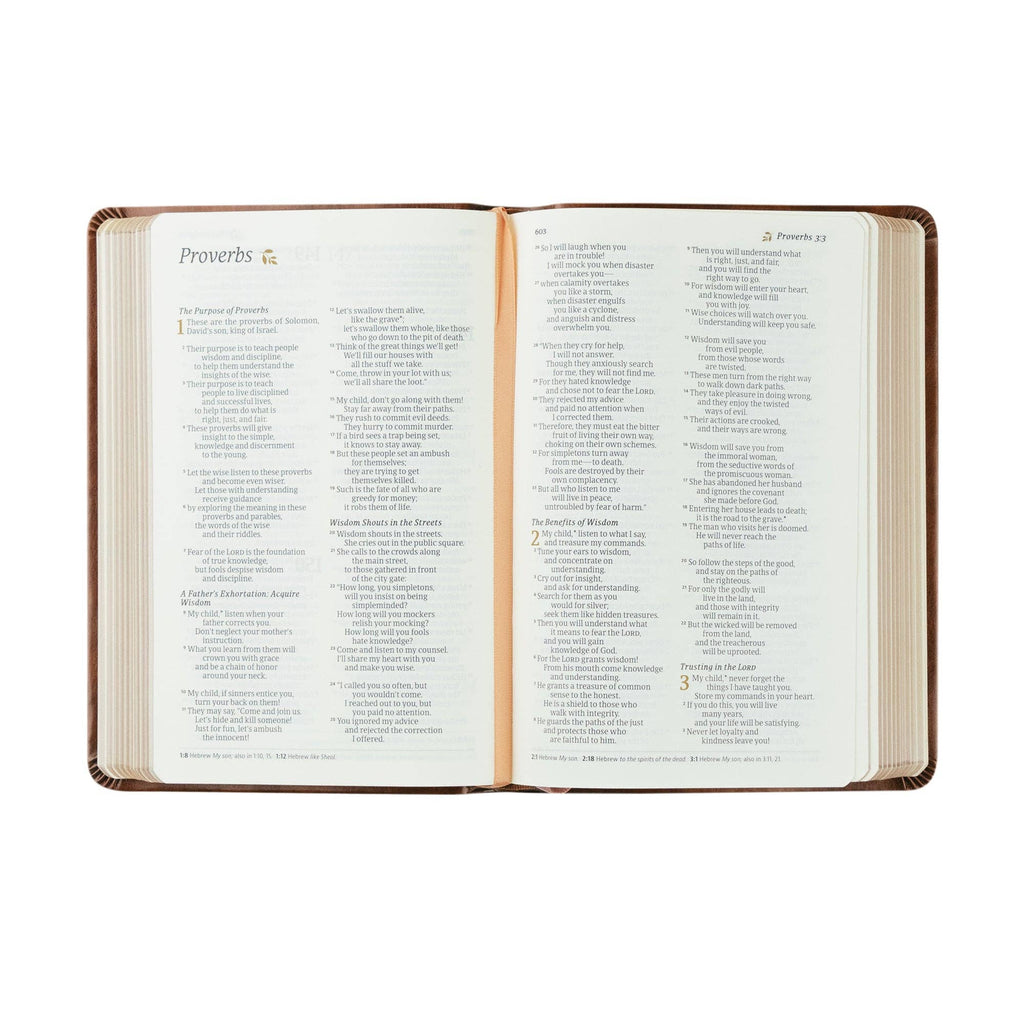 NLT Compact Bible | Aurora Theme