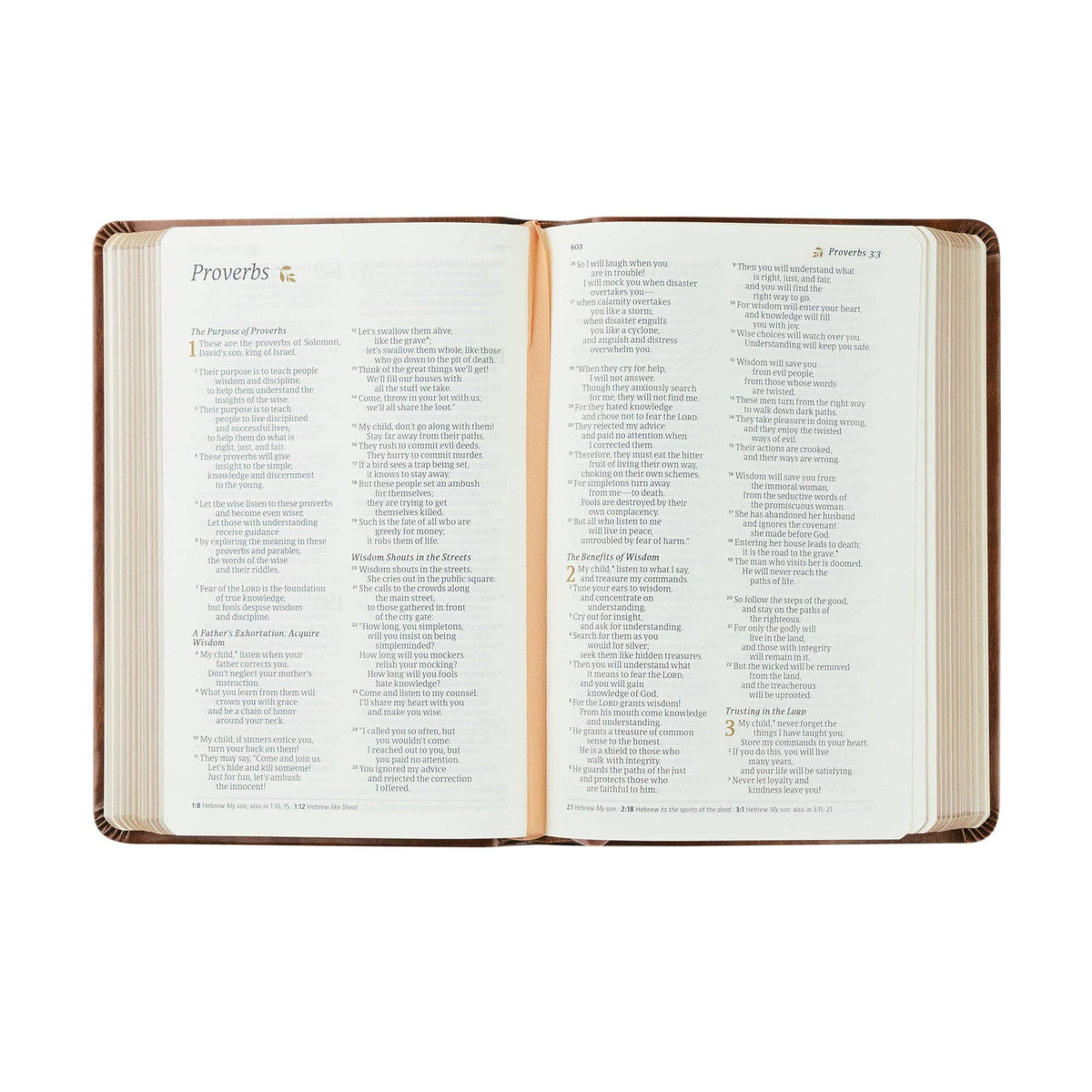 NLT Compact Bible | Aurora Theme