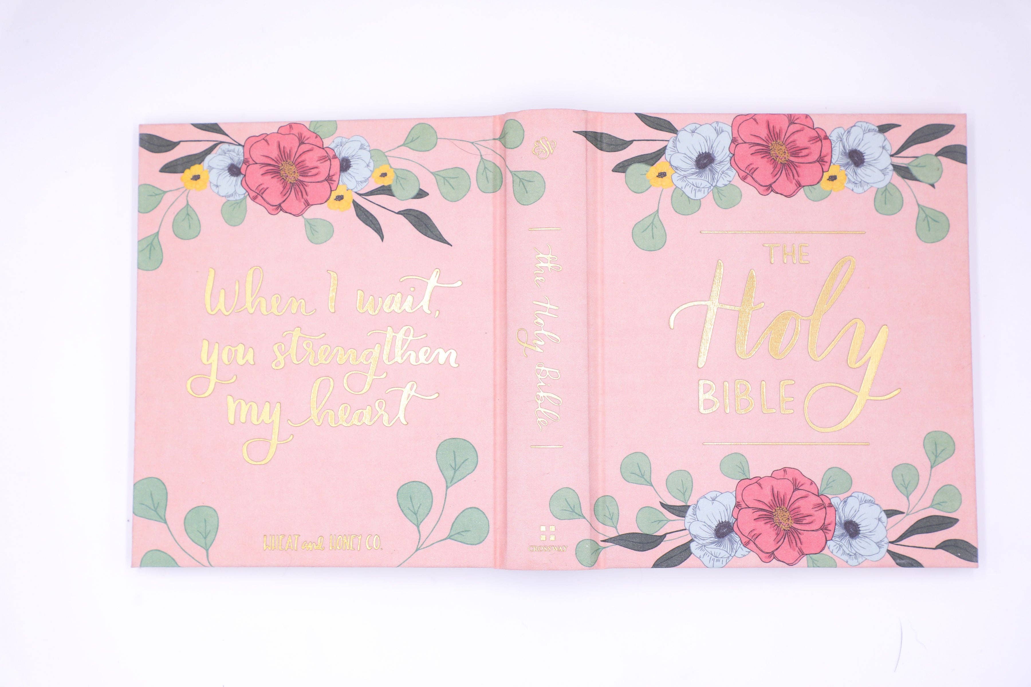 ESV Journaling Bible — Blush Hardcover — Perfect for Journaling on the Go