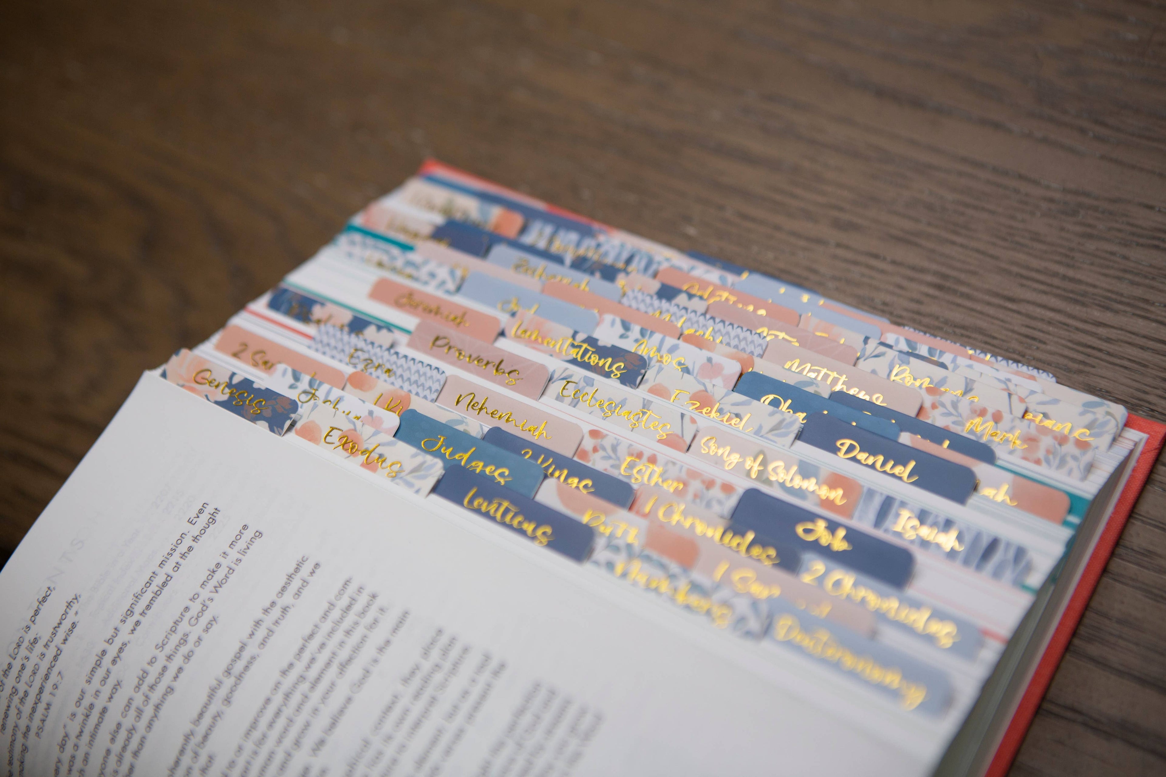 Tabs For Your Bible | Pretty Bible Book Tabs