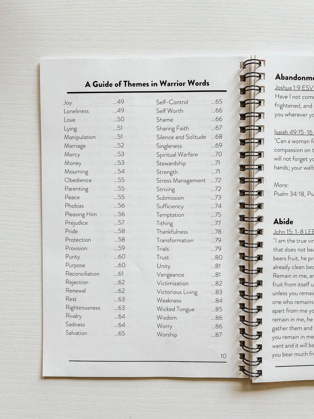 Warrior Words — Scripture Reference Tool for 100+ Emotions and Circumstances BACKORDER