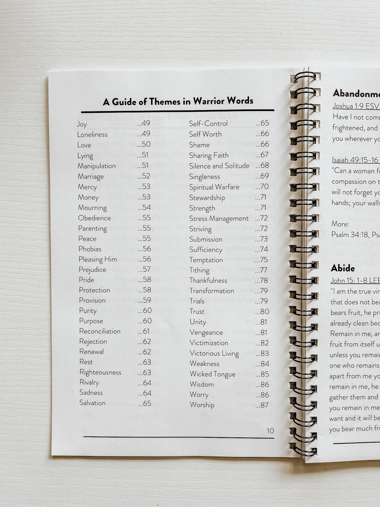 Warrior Words — Scripture Reference Tool for 100+ Emotions and Circumstances BACKORDER