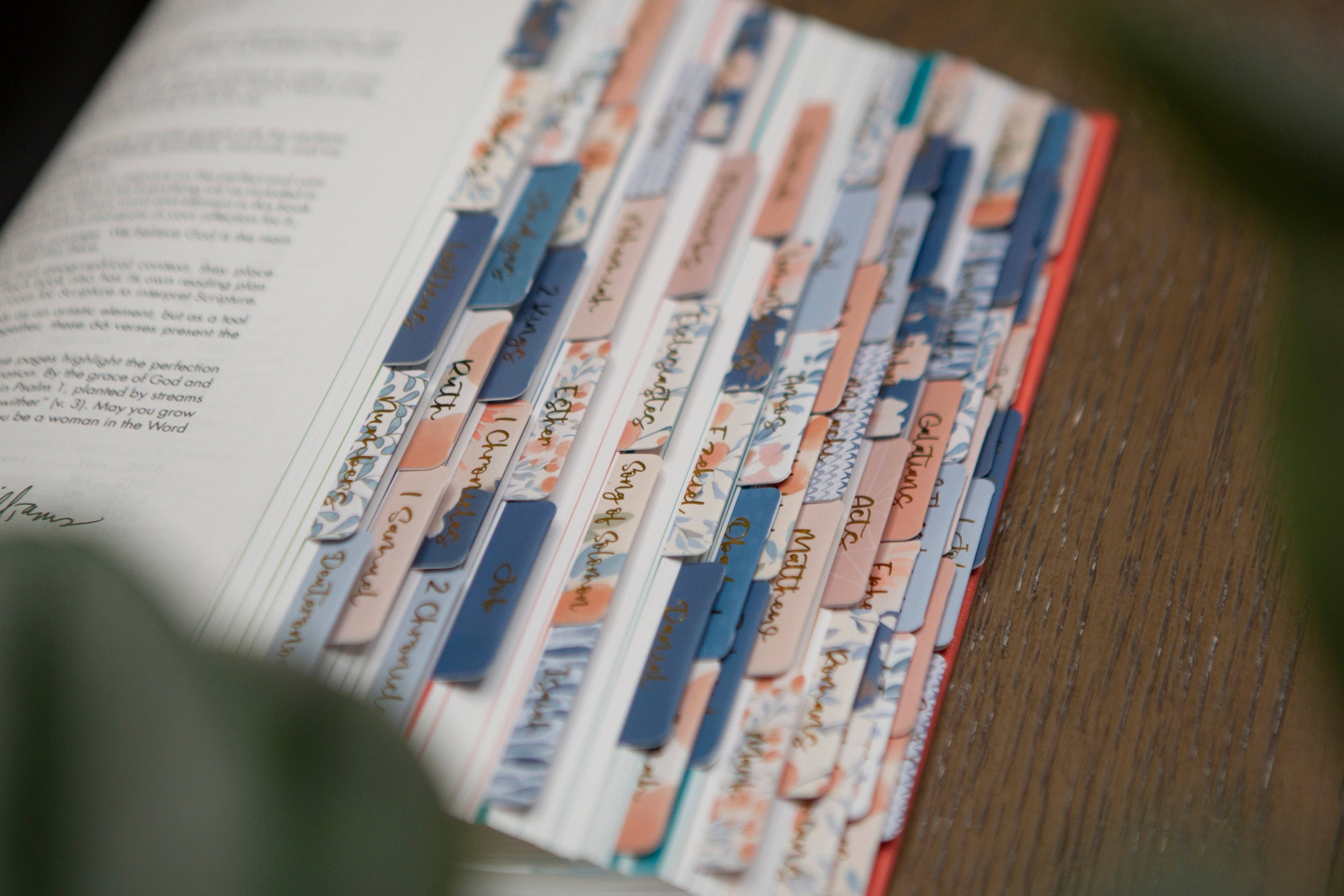 Tabs For Your Bible | Pretty Bible Book Tabs
