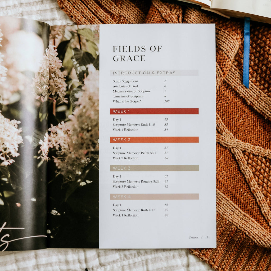 Fields of Grace — 4 Week Ruth Bible Study AND Ruth & Boaz Tip-In Set